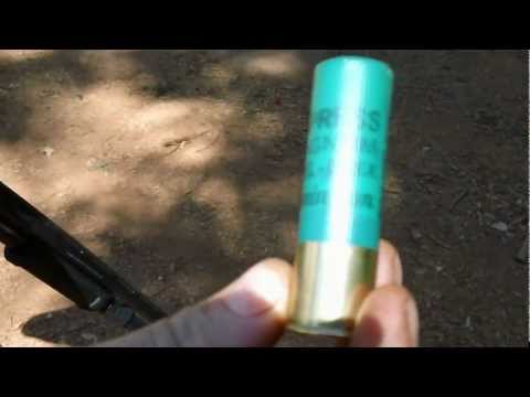 Remington 870 express 3in 000 magnum buck shot