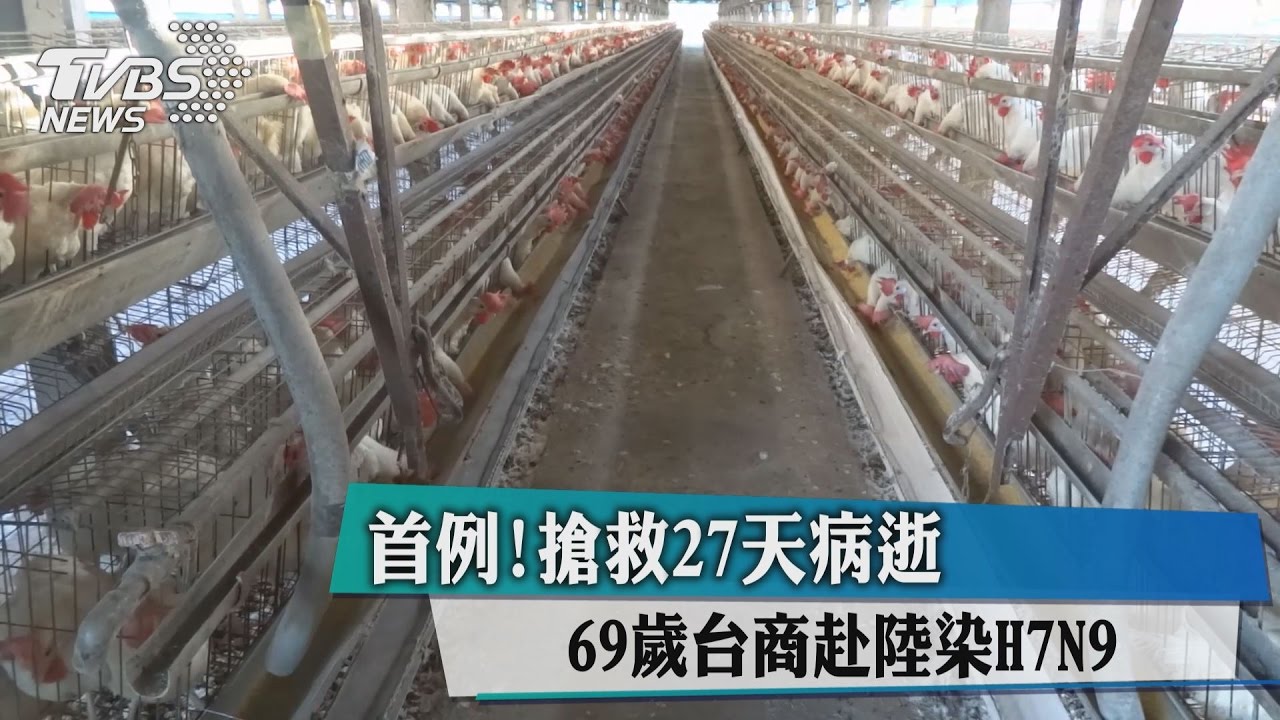 首例！69歲台商赴陸染H7N9　搶救27天病逝