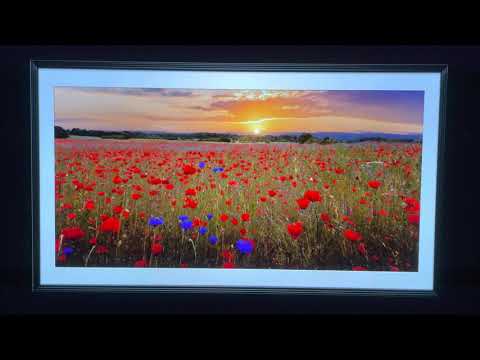 HTJ - LG CX firmware update 3.23.35 is here/physical media John Carpenter’s The Thing 4K