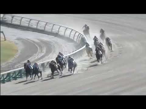 2017.12.28 2yo Newcomer (JPN) - Keiai Malibu