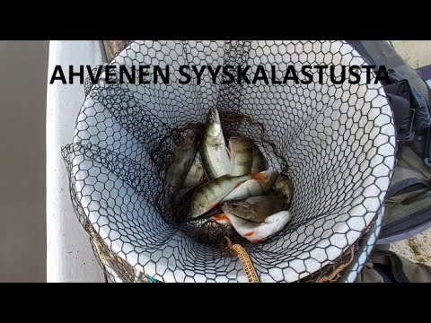Ahvenen syyskalastus | Hurja saalis appuraa | Sisältää myös inkkarikalastusta