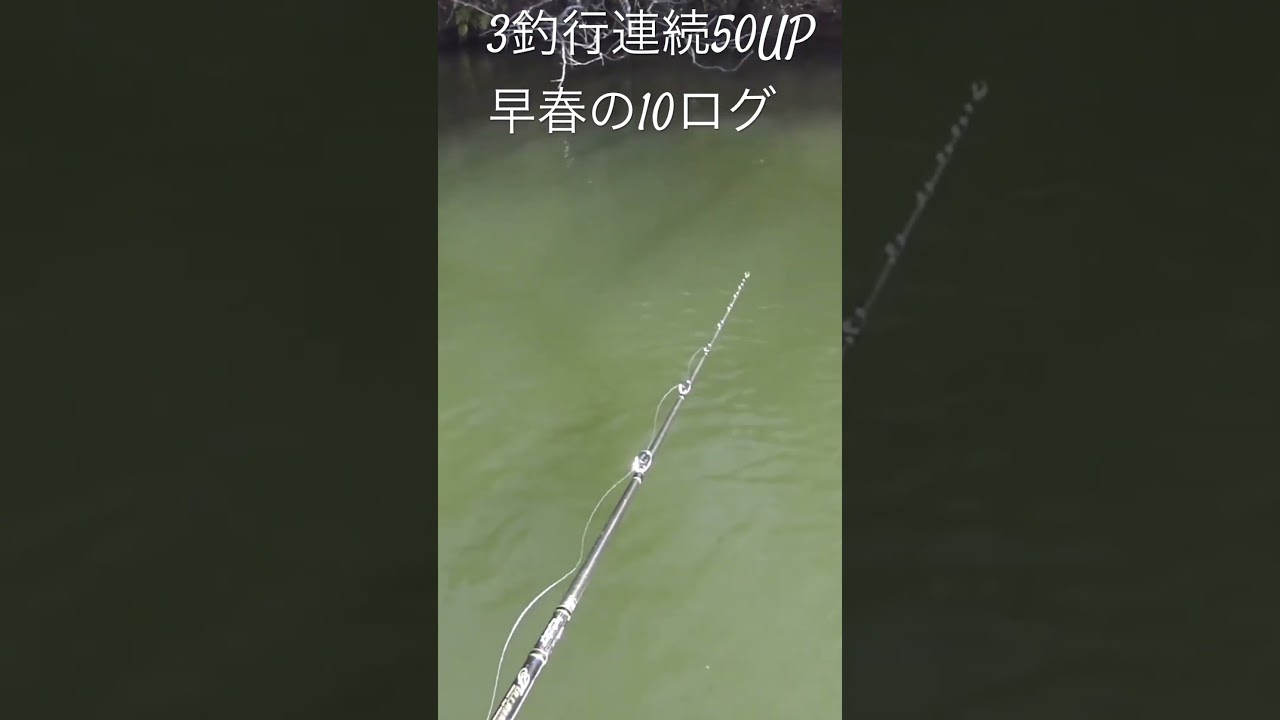 早春に3釣行連続で50UPを仕留めたジャークベイト