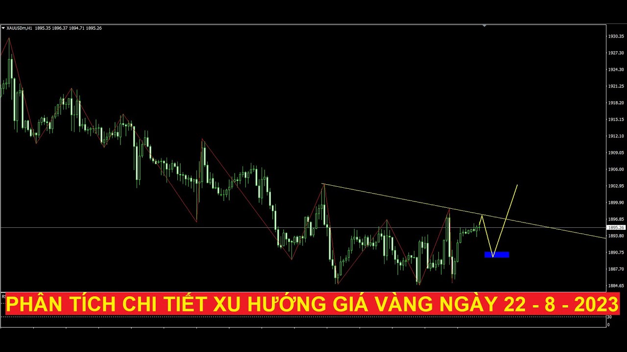 Video phân tích chi tiết xu hướng giá vàng ngày 22 - 8 - 2023