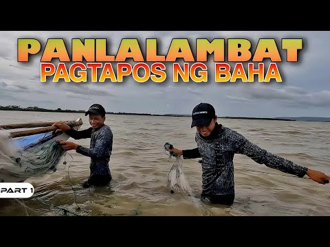 P1-Panlalambat Pagkatapos ng Baha - EP1053
