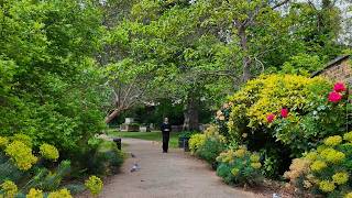 London's Secret Backstreets 🇬🇧 Bloomsbury Walking Tour | London Walk 🇬🇧