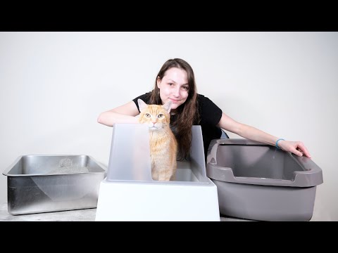 Top 10 Best Cat Litter Boxes of 2021 (We Tested Them All)