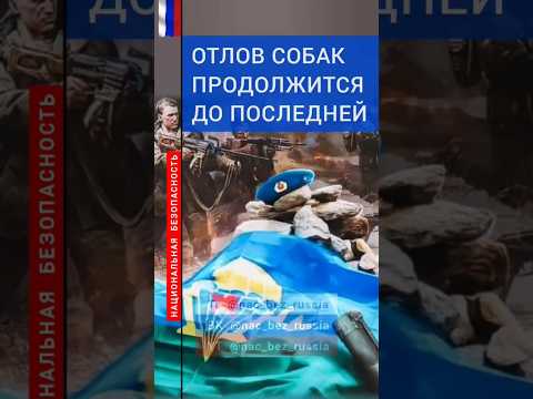 ⚡ ПОЙМАНЫ БОЕВИКИ БАСАЕВАИ ХАТТАБА.