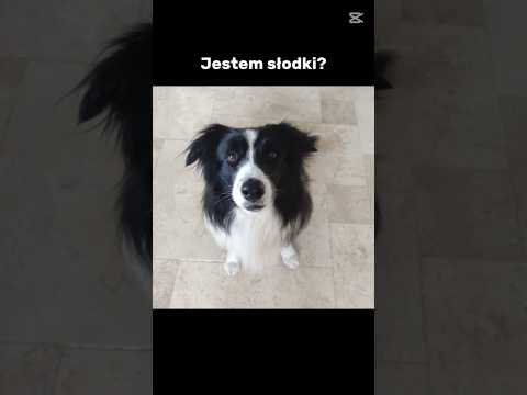 Tęsknię za tobą 🥹😭 #wybijsie