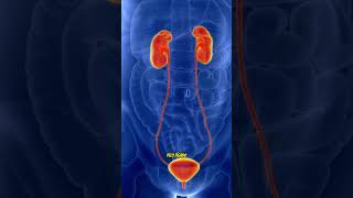 Se o laser é tão forte, por que a tatuagem não some na hora?