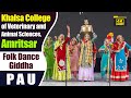 Folk Dance Giddha 2023 || PAU || Khalsa College of Veterinary and Animal Sciences, Amritsar