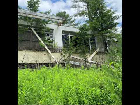 LOOSE CANNON-puzzle 1 HOUR