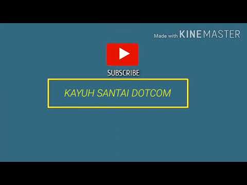 VENFORT 50MM SEAL BEARING SOUND