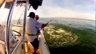 preview picture of video 'Offshore Fishing Grand Isle, La'