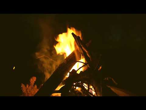 Reverend Baron + Andrew Gabbard + Mae Powell - It Is So Nice To Get Stoned [OFFICIAL VISUALIZER]