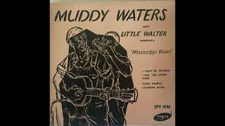 Muddy Waters with Little Walter - Evans Shuffle