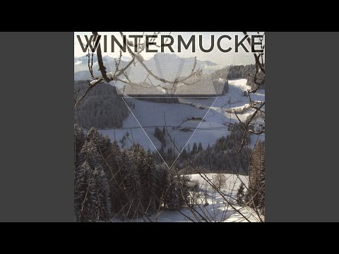 Glass Reflections (feat. Mel T. Waters)