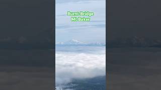 Above the Clouds at Burnt Bridge Park ❄️ | Mt Baker Views
