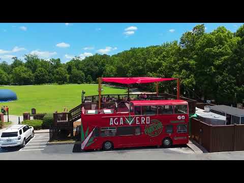 Robert Francis video