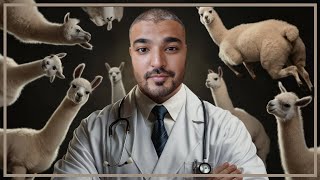 Download the video "How To Evaluate LLMs Using LangSmith | Generative AI Tools | Bits & Bytes # 9"