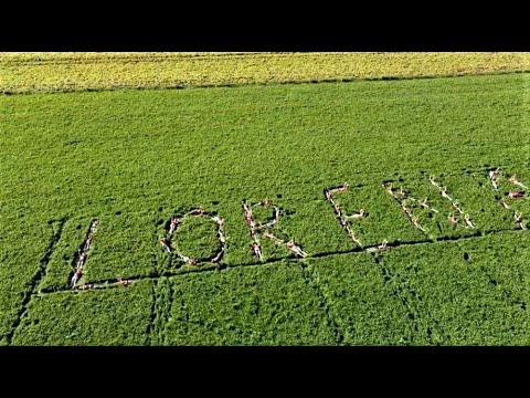 Calicantus Children's Choir - Summer camp 2020