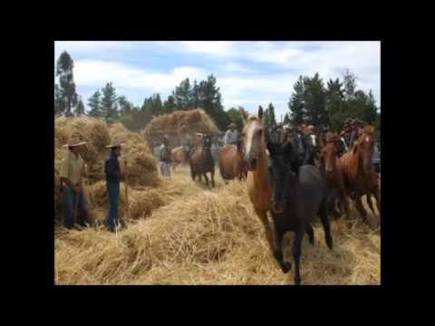 Silvia Infanta y los Cóndores - La parva de paja