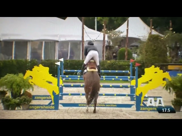 The half-brother of this embryo is the CSI 1.30m approved Stallion Kaprun Z with rider Liv Huijbrechts.