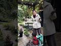 1 Hour Of Gardening Garden Gardening Plants Autumn
