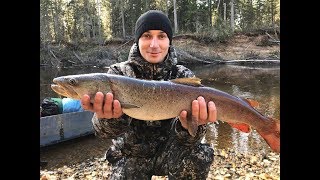 Рыболовная база на северной сосьве