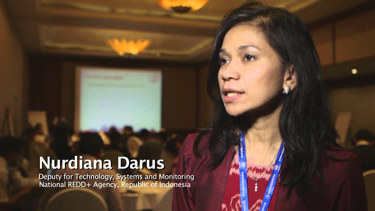 From concept to reality: UN-REDD Programme’s REDD+ Academy explained in new video