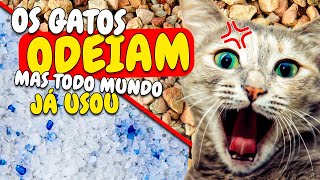 4 PIORES Areias para Gatos! A ÚLTIMA é a PIOR de todas!