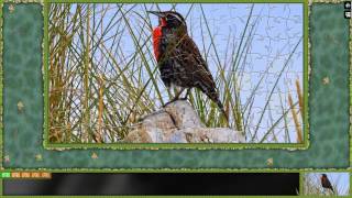 Pixel Puzzles Ultimate - 7 minutes Gameplay