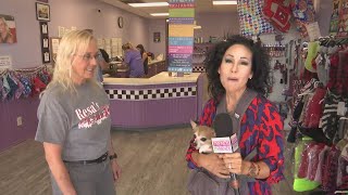 Resa’s K-9 Salon, more than 20 years of experience