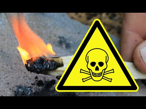 Bushcraft Survival: Nahrung im Notfall: Ist Harz essbar oder gefährlich?