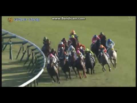 2016-10-02　スプリンターズステークス