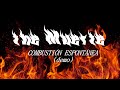 Combusti&oacute;n espont&aacute;nea