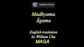 m_MAGA_030_Parable of the Elephant’s Footprint, Madhyama Agama,  William Chu (Nov 2024)