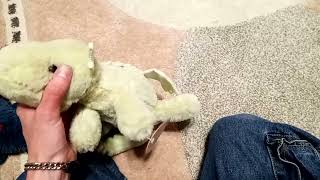 Unboxing Apricot Lamb Green Dragon