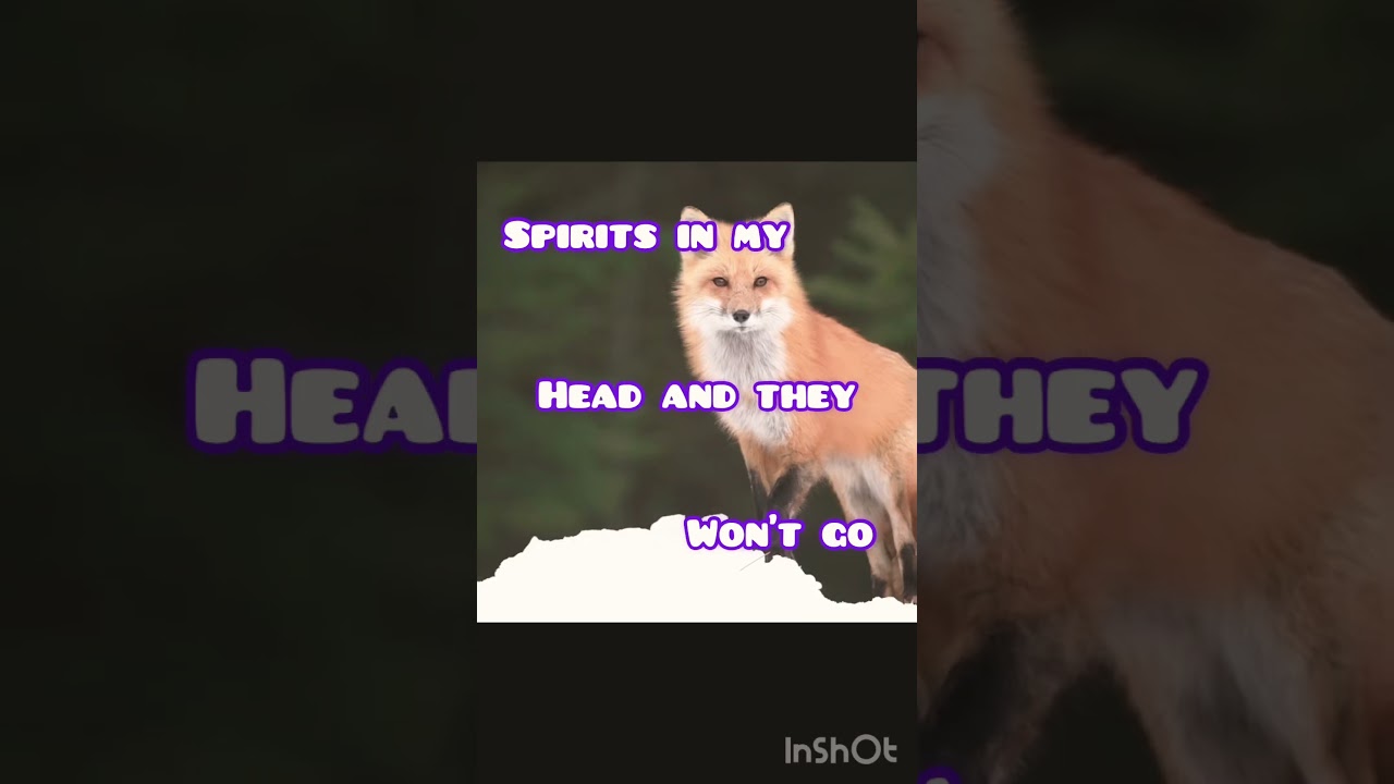 Fox therian edit🦊🐾☁️ #therian #therianthropy #fox #redfox #shorts