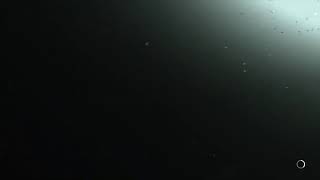 [ホラー]　＃8　『The Last of Us Part 2』エリーの復讐劇が始まる．．．．．