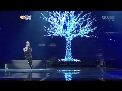 CL Feat Sung Shi Kyung - Because I Love You SBS Gayo Daejun 2012