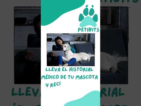 PetiBits