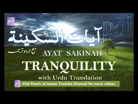 Tranquility | The Ayat of Sakinah | آیات السکینه Omar Hisham Al Arabi