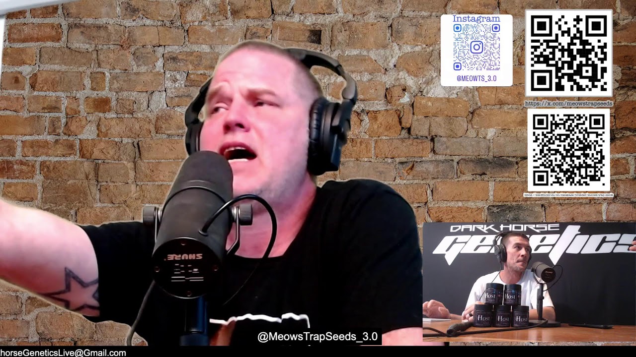 Dark Horse Live! Ep 169 with Meows Trap Seeds