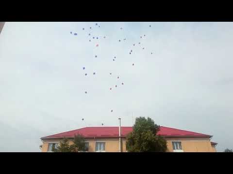 Absolvirea claselor a VIII-a - Liceul O Goga Jibou 2