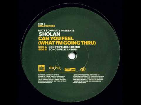 Matt Schwartz Presents Sholan – Can You Feel (What I'm Going Thru) (Sono's Pelican Remix)