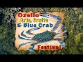 Ozello Arts Crafts And Blue Crab Festival