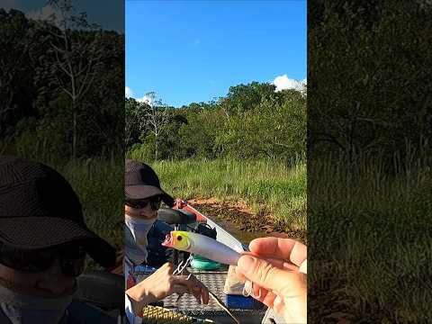 Essa isca resolveu a pescaria #isca #pescaria #matogrossodosul #anaurilândia #tucunareazul