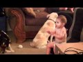 Barney Is Like Crack To Baby S
