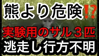 【熊より危険⁉︎ 実験用の猿3匹逃走し行方不明❗️】トューレン大学「国立生物医学研究センター」どの研究ラボに向かっていたかは不明！