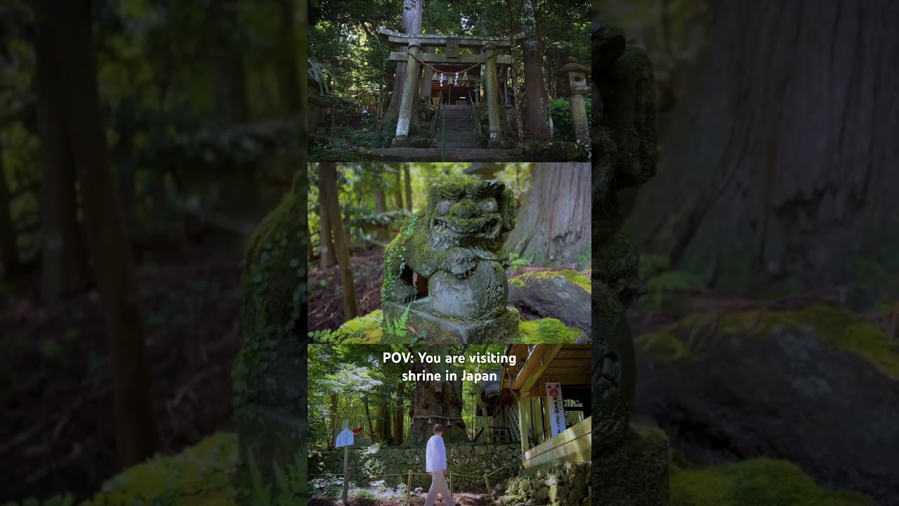 pov: You are visiting hidden shrine in Japan #shorts #japan